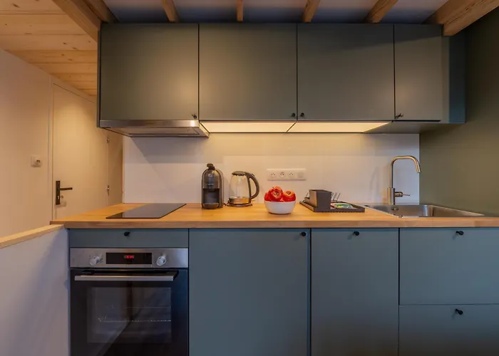 Grand Roc - Campanules 424 - Happy Шамони