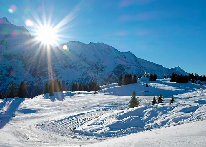 Grand Roc - Campanules 424 - Happy 霞慕尼