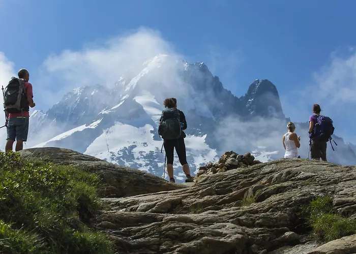 Grand Roc - Campanules 424 - Happy 霞慕尼